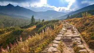 tatry hala gąsienicowa