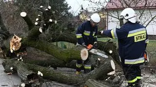 Lukasz Solski/East News