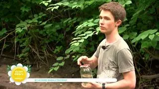 Jarek Brodecki laureatem czerwcowej Pozytywki Dzień Dobry TVN