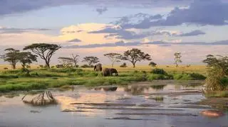 Tanzania podróże