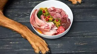 Dieta BARF dla psa.