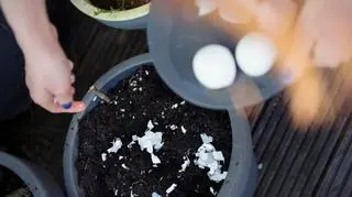 Elva Etienne/Getty Images