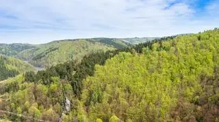 Góry Sowie 