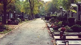 cmentarz
