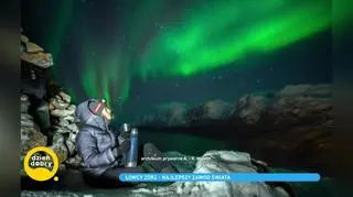 Zorza polarna. Gdzie występuje to zjawisko i kiedy najlepiej ją oglądać?