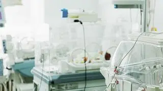 Rodzina z Kabulu wylądowała we Włoszech. "Widok matki z noworodkiem na poduszce, ścisnął nam serce"