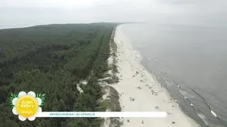 "W Krynicy Morskiej zawsze świeci słońce". Dlaczego warto odwiedzić ten kurort? 