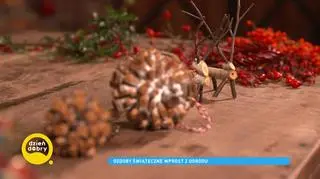 Najpiękniejsze ozdoby świąteczne z naturalnych materiałów. Zrobisz je z tego, co znajdziesz w ogrodzie 