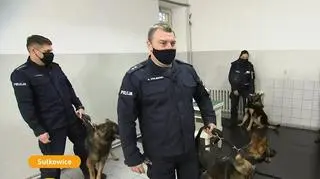 Nowi "funkcjonariusze" w policji. Ogi, Oro, Ondo i Otil zastąpią tragicznie zmarłe psy