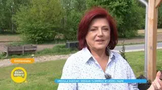 Urszula Dudziak pokazała swój dom w Dzień Dobry TVN. Zaapelowała też o przywrócenie koncertów