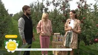 Bracia Sadownicy zaprzyjaźnili się z pszczołami. "Bez nich nie ma owoców naszej pracy"