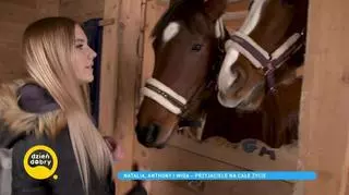 Nastoletnia Natalia uratowała konie przed rzeźnią. "Pozyskałam nowych przyjaciół"