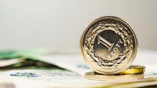 Program 300 plus. Ostatni moment na złożenie wniosku