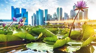 Luksusowy Singapur. Tam obrazy powstają z czekolady