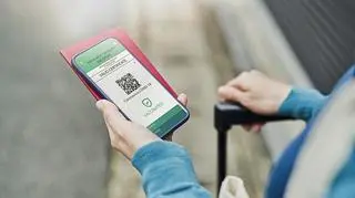 Kobieta, która trzyma telefon komórkowy 