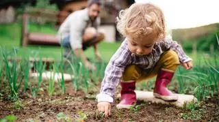 Permakultura - małe dziecko pomaga rodzicom w ogrodzie