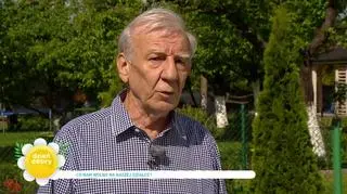 Polacy wypoczywają na ogródkach działkowych. Łamią przy tym wiele przepisów i zakazów