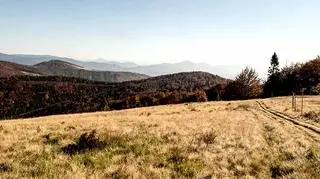 Beskid Żywiecki