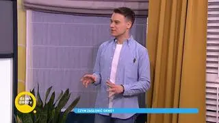 Jak skutecznie zasłonić okna? Nowoczesne rozwiązania - rolety, żaluzje, okiennice