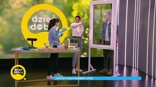 Wiosenne mycie okien sodą i rajstopami. Chemiczka podpowiada, jak robić to dobrze
