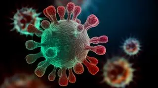 model koronawirusa SARS-CoV-2