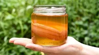 kombucha