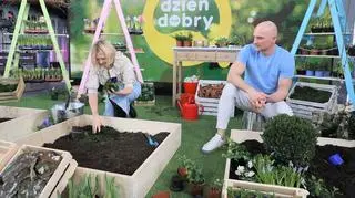 Wiosna pod znakiem kolorowych balkonów. Jakie kwiaty posadzić w donicach, by cieszyły oko aż do lata?