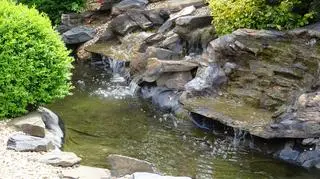 Oczko wodne z pompą