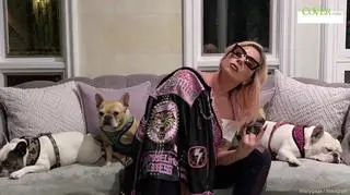 Uprowadzone psy Lady Gagi zostały odnalezione