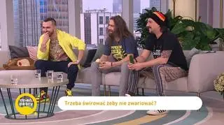 Nowator, Paprodziad, Kałamaga i ich wspólny utwór "Trzeba świrować". Artyści zaśpiewali go w Dzień Dobry TVN