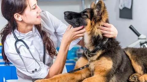 Mordolff/Getty Images