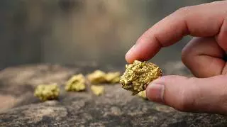 Ogromna żyła złota na Dolnym Śląsku. Ministerstwo Środowiska potwierdza doniesienia