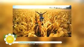 Ruszył proces R. Kelly'ego. "Nazywają go potworem"