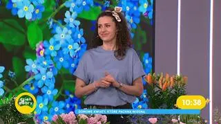 Pachnące kwiaty do domu. Które wybrać?