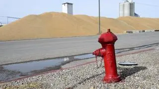 Hydrant