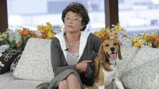 Jak wychować zwierzaka?