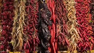Skala Scoville'a – jak mierzy się ostrość papryki?