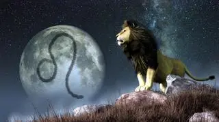 Znak zodiaku Lew