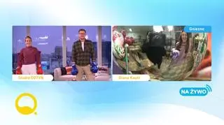 Pogoda na dziś 