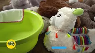 Jak odpowiednio czyścić zabawki?