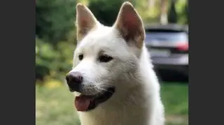 Fot. archiwum prywatne 