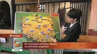 Hipopotam karłowaty z wrocławskiego zoo