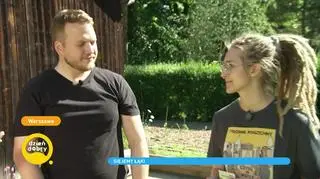 Jak przenieść trochę przyrody do domu? Siejemy łąki na balkonie