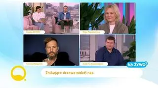 Moratorium dla drzew - kampania, która ma zatrzymać masową wycinkę drzew w Poslce
