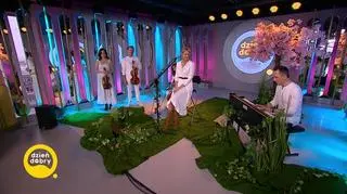 Anita Lipnicka – „Piękna i rycerz”