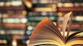 "Mein Kampf" zostanie wydany po polsku. Dlaczego zdecydowano się publikację książki Adolfa Hitlera?