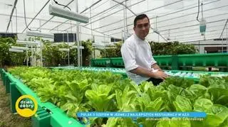 Prosto z Singapuru - polski mistrz kuchni Bartek Cywiński o praktykach u Gordona Ramsaya i o pierwszej gwiazdce Michelin