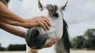  Catherine Falls Commercial/Getty Images