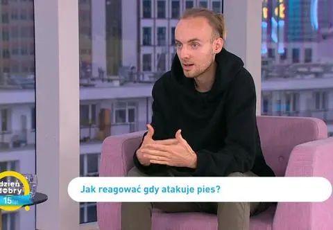 Jak się zachować, gdy atakuje nas pies? Porady behawiorysty