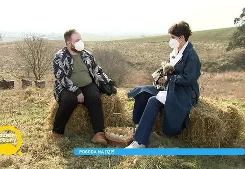Hodowla ptaków ozdobnych. Jak długo wykluwa się pisklę?